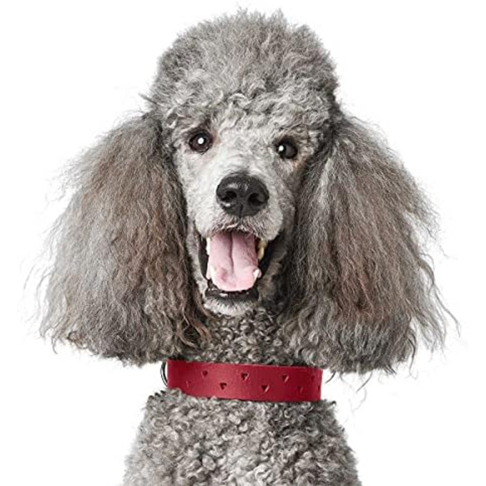 Нашийник для собак HUNTER Aalborg Soul, червоний, з сердечком, міцний, розмір 35