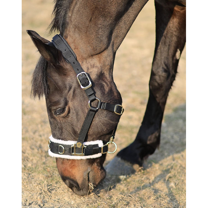 Теке Лонжера з флісовим наповнювачем, повідком та вуздечкою, чорний колір, розмір Cob (M)