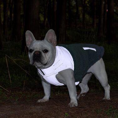Зимовий теплий жилет для собак з інтегрованим шлейкою, водо- та вітронепроникний, світловідбиваючий, зручний, регульований (Блакитний, 3XLP, обхват грудей 55 см)