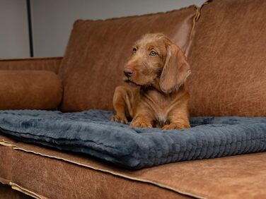 TrendPet Harmony: М'яка підстилка для собак та котів, 50x35 см, антрацит