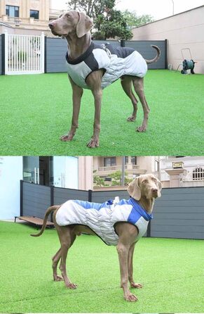 Зимова куртка для собак з металевою застібкою для повідка, водонепроникна, з наповнювачем, для великих собак (чорний, 4XL для 20-30 кг)