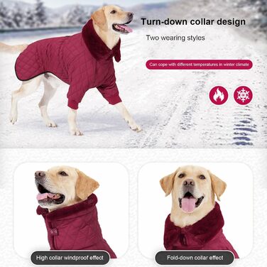 Водонепроникний теплий зимовий одяг для собак - куртка/пальто, поліестер, зелений, XXX-Large