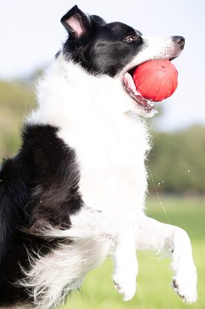 Іграшка для собак Nerf Dog Gummiball з інтерактивним пищиком, легка, довговічна, водовідштовхувальна, 10,2 см, для середніх і великих порід, червона