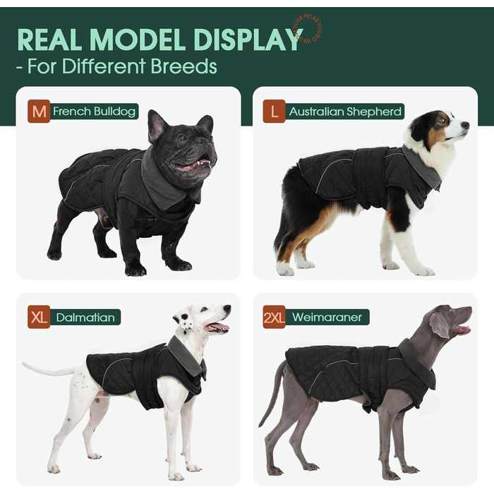 Водонепроникний зимовий одяг для собак Kuoser, тепла куртка для маленьких собак з флісу, регульований животик та отвір для повідка на блискавці, S, темно-сірий