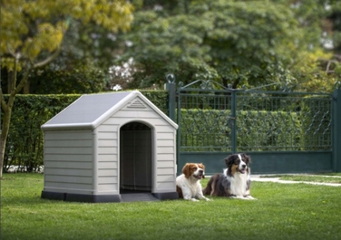 Будка для собак Curver з пластику, зовнішні розміри 99 x 95 x 99 см