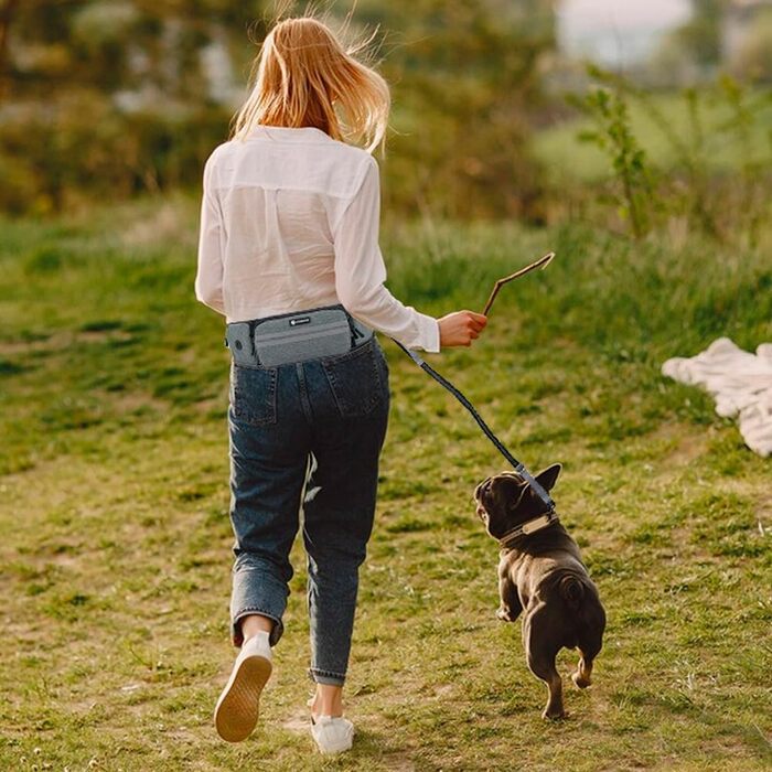 Лекарська сумка для собак, поясна сумка для аксесуарів, мішок для ласощів з дозатором кульок для вигулу, прогулянок та дресирування (Сірий, з 1 повідком)