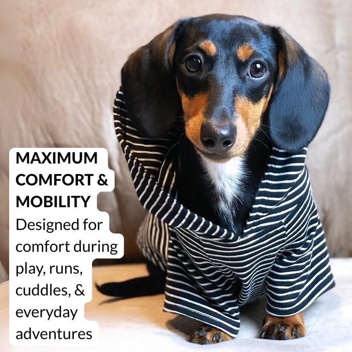 Світшот для собак DJANGO, теплий, м'який, з капюшоном, для маленьких собак до 11,3 кг (Даксель, цуценята), чорний, розмір S