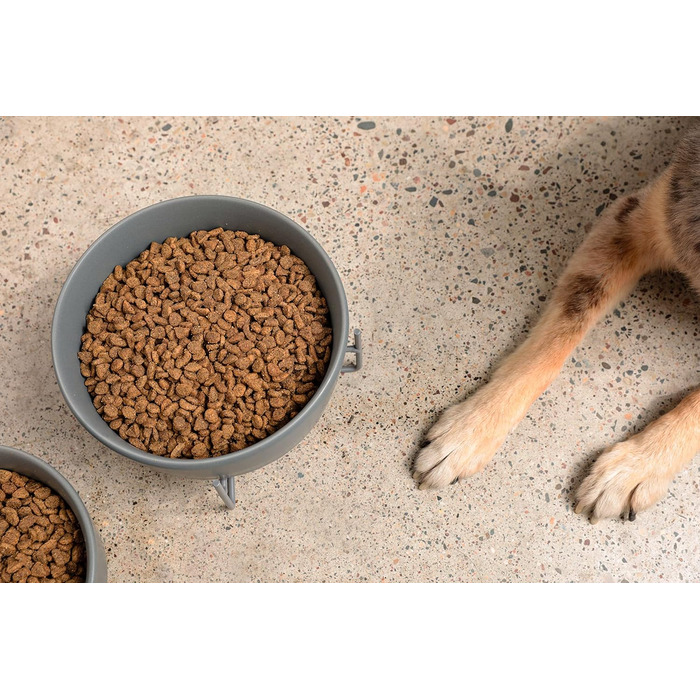 Підставка для годівлі собак Waggo з мискою - керамічна миска, підставка з металу, піднята годівниця для тварин (маленька, матово-біла)