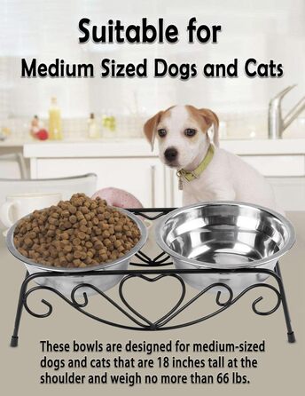 Підвищені годівниці для собак та котів з нержавіючої сталі з подвійними мисками та стійкою