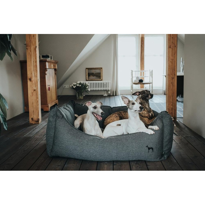 Диван для собак Livingston, класичний, структура тканини, розмір M, антрацит, 80x60x25 см
