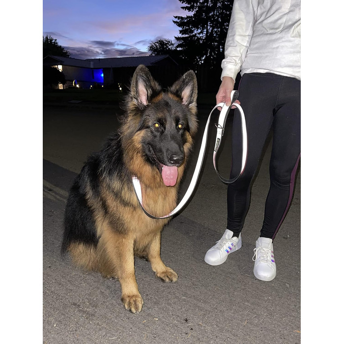 Собачий нашийник Cycle Dog L сірий