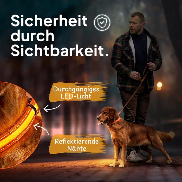 Світловідбиваючий нашийник для собак Tierhood - LED нашийник для маленьких та великих собак, оранжевий, розмір S (30-45 см)