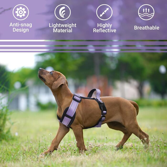 Нашийник для собак XL фіолетовий - зручний, світловідбиваючий, анти-тяга, з ручкою, для собак середніх порід
