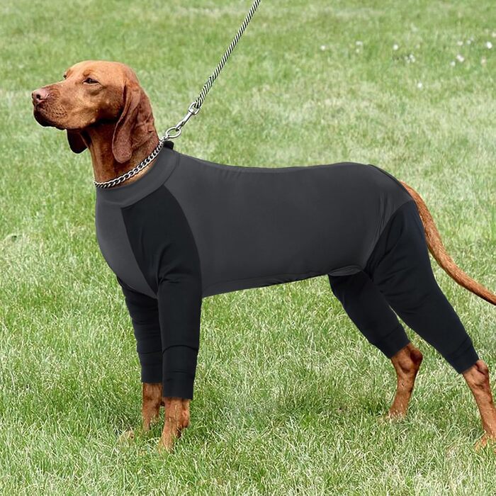 Комбінезон для собак, піжама для собак середніх порід, одяг після операції для Французького бульдога, Кокер-спанієля, Бігля (M, Сірий)