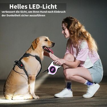 Розтягувана собача поводок з LED-підсвіткою, гальмом та системою швидкого розблокування, 5м, нейлон, до 40кг