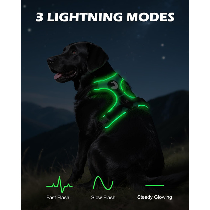 Світловідбиваючий нашийник для собак Joytale з LED, для середніх собак, без натягування, з ручкою, регульований, для нічних прогулянок, зелений, розмір M (1 шт.)