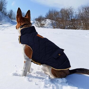 Зимовий теплий одяг для собак: куртка з флісу, тепла піджак для собак, куртка для чихуахуа, такса, блакитний колір, розмір S, S темно-синій