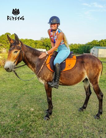 Легінси для верхової їзди FitT4 Port Reitlegging для жінок та дівчаток з кишенею для телефону та петлями для ременя (Світло-блакитний, XS)