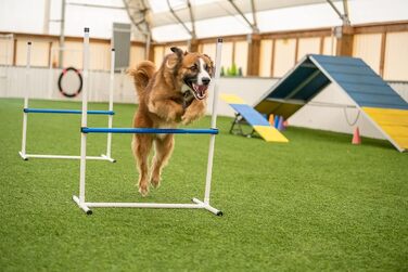 Набір для аджиліті для собак Better Sporting Dogs Deluxe: 7 елементів | Стрибки, тунелі, weave-стійки, бокс для відпочинку