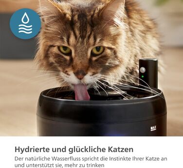 Фонтанчик для котів Philips Pet Series PAW3210/02: Інтелектуальний, з захистом від протікання, датчиком рівня води та тихим режимом