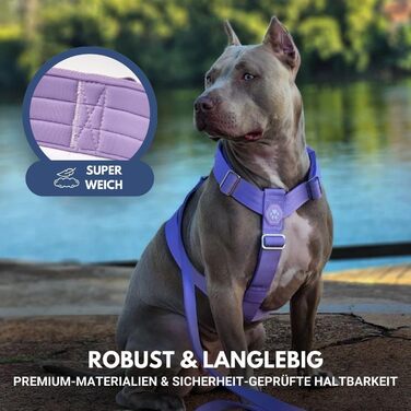 Нашийник для собак Spark Paws No-Pull – фіолетовий, L (36-68 кг) – для великих порід, Pitbull, Боксер