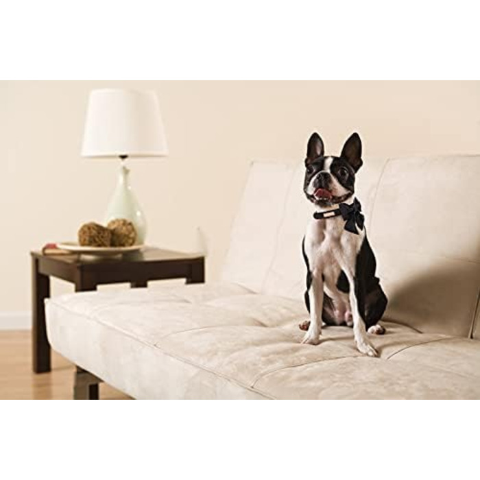 Чорний ошийник для собак з бантиком - регульований, міцний, для середніх собак, з бантиком для вечірки/весілля, чорний, Unique Style Paws