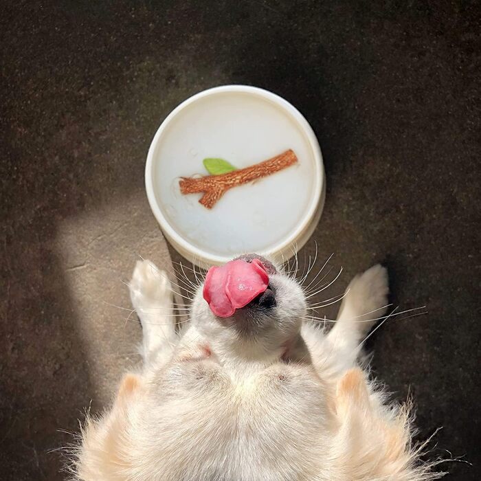 Миска для собак Suck UK з 3D-декором | Керамічна миска для води та їжі для собак | Іграшка для собак, аксесуар для тварин | Новинка для дня народження цуценяти