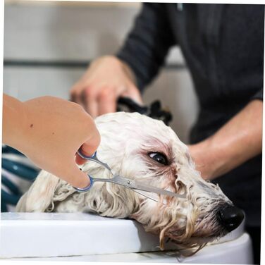 Набір для грумінгу домашніх тварин: ножиці з прямим та вигнутим лезом, довговічна цинкова легатура, ергономічний дизайн для точного стриження собак та котів, у комплекті сумка для зберігання