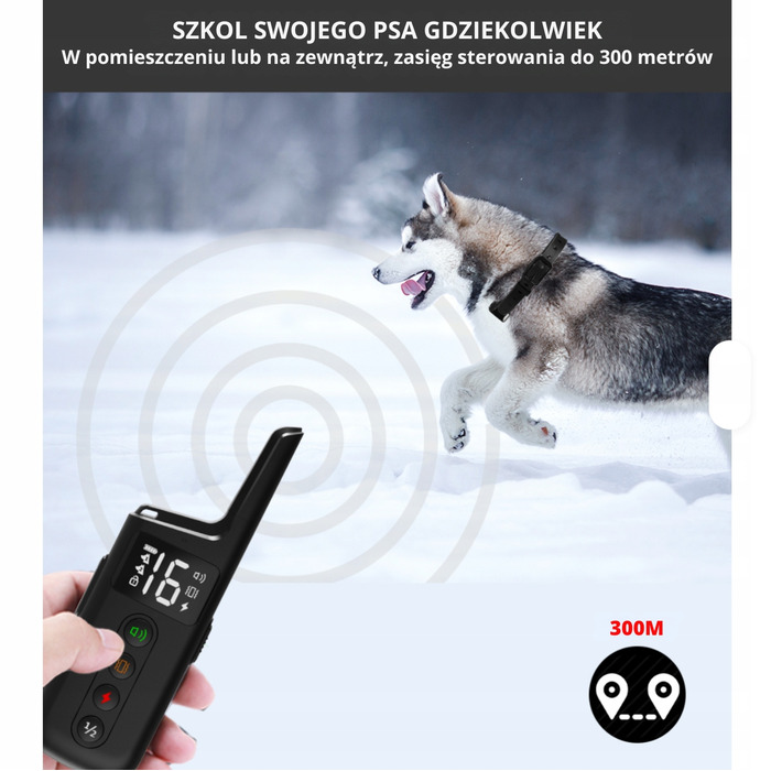 Тренувальний електронашийник для собак: корекційний пристрій для дресирування