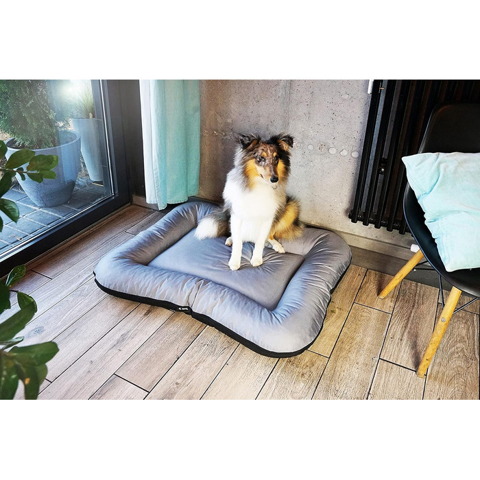 Ліжко для собак середніх порід 4L Textil KLEO, 90x70 см, бежеве, з блискавкою. Також: килимок, матрац, подушка для собак. Розміри: 80x60x10 см (сірий, з блискавкою)