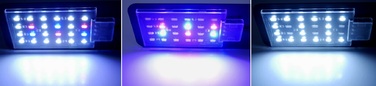 Освітлення для акваріума AQUALED: 24 LED-діоди, 10 Вт, з таймером