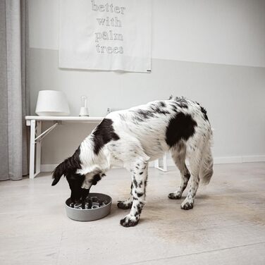 Повільний годівник для собак District 70 Bamboo Grey, діаметр 28 см