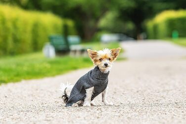 Світшот/Худі CHIARA Eie Puover CHP-403GN, Зелений, 100% поліестер, комфортний, стильний, для чоловіків