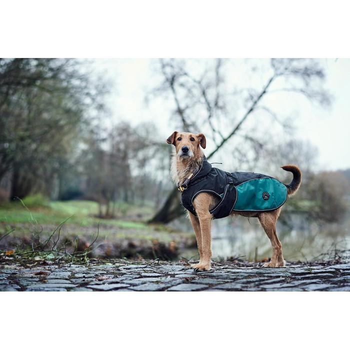 HUNTER Hundemantel Uppsala Allrounder: водонепроникний, вітрозахисний, знімний підклад, розмір 35, антрацит/петроль