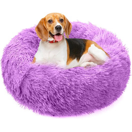 колір: віолетта