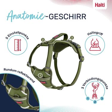 Шлея для собак HALTI Anatomy з ручкою, нейлонова, неопрена підкладка, 3 точки кріплення повідця, регульована, світловідбиваюча, розмір L, зелена