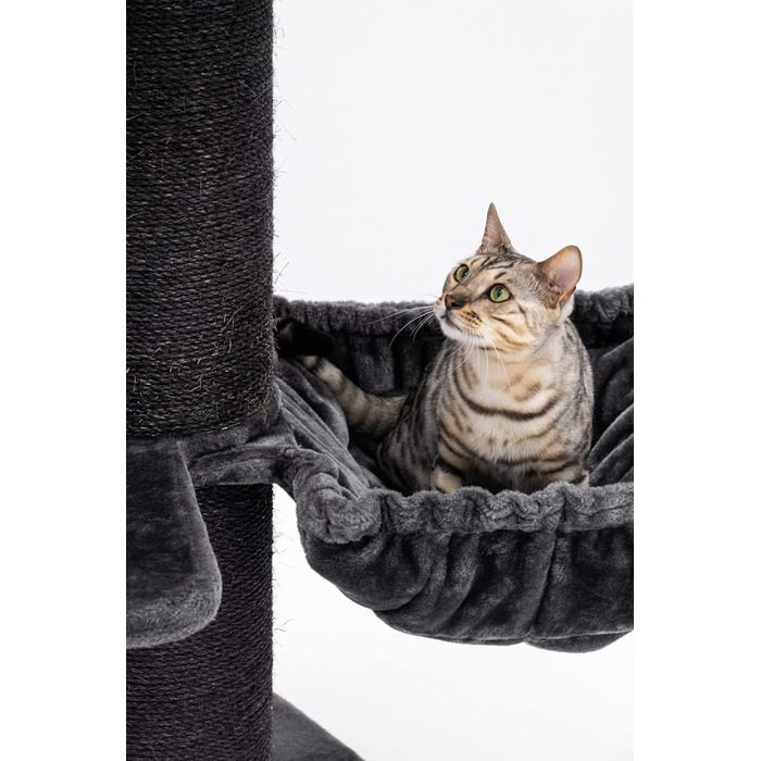 Когтеточка для великих котів Petrebels Maine Coon, 117 см, преміум-якість, стовпи Ø20 см, чорна