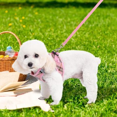 EXPAWLORER Нашийник та поводок для собак – набір для середніх собак – класичний вільний нашийник, не тягне, регульований, надійний для прогулянок на вулиці (XS (нашийник: 20-30см, обхват грудей: 33-36.8см), Рожевий)