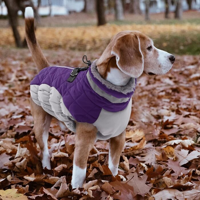 Водонепроникний собачий дощовик Lelepet, тепла зимова куртка для собак з шлейкою, світловідбиваючий костюм для снігу, теплий пуловер для собак маленьких, середніх та великих порід (L)