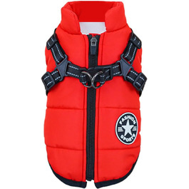 колір: гниль