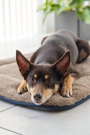 Подушка-сліпер з мікрофібри DGS Nano Chenille, сіра (109x69x3.5 см)