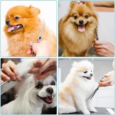 Професійна ножиця для грумінгу собак 7,5 дюймів: набір для догляду за собаками (вигнута, пряма, розріджуюча)