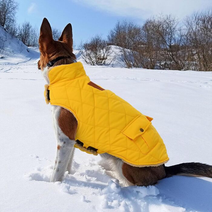 Зимовий теплий одяг для собак CITE TOILE - куртка з флісу для собак, з отвором для шлейки, жовта (M)