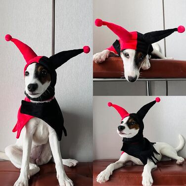 Костюм на Хелловін для собак Lelepet з капелюхом та мантією, веселощ для домашніх тварин, косплей на Хелловін, наряд для вечірки, костюм для дітей, середніх та великих собак, однотонний червоний (Getaway Solids)