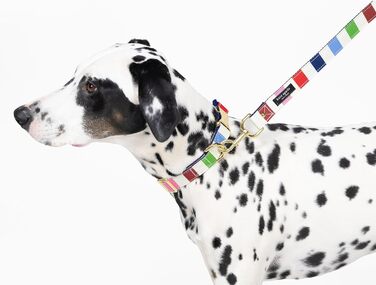 Стильний нашийник для собак Kate Spade New York, регульований, 39,4-61 см, золота металева пряжка, для середніх собак, унісекс