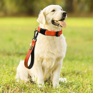 PLUTUS PET короткий повідок для собак 25,4 см, міцний з карабіном, м'яка нейлонова ручка, для великих та середніх собак, оранжевий