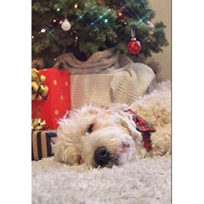 Нашийник для собак Unique Style з бантиком, регульований, для собак та котів, червоний, XXS-XL