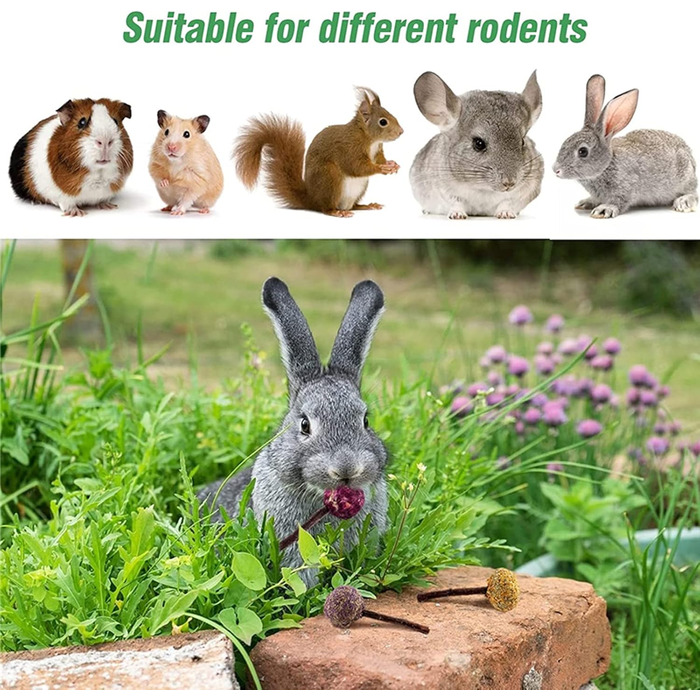 Іграшка для гризунів з натурального дерева та тимофіївки, RUNANIA – іграшка для кроликів, морських свинок, хом'яків, шиншил, мишей