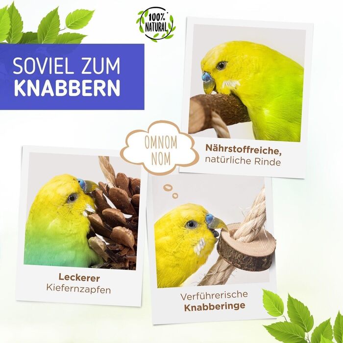 Ігровий майданчик для птахів Vogelgaleria® з натурального дерева | Гойдалка для хвилястих попугаїв | Іграшка для маленьких папуг | Іграшка для корелл | Підвісний ігровий майданчик для хвилястих попугаїв