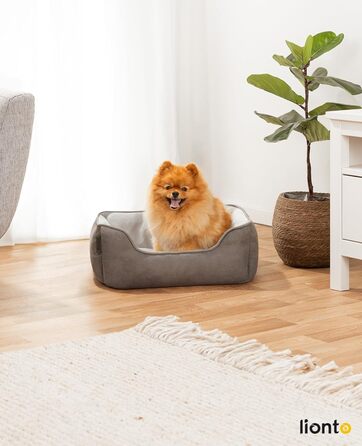 Ліжко для собак Lionto 2-в-1 з м'яким входом, зручне лежання для собак та котів, 60x50 см, подушка для собак у легкому догляді з ефектом замші, сірий L 60 x W 50 x H 22 см Темно-сірий/Світло-сірий